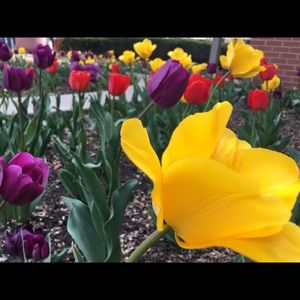 Meet your Posher, Ge